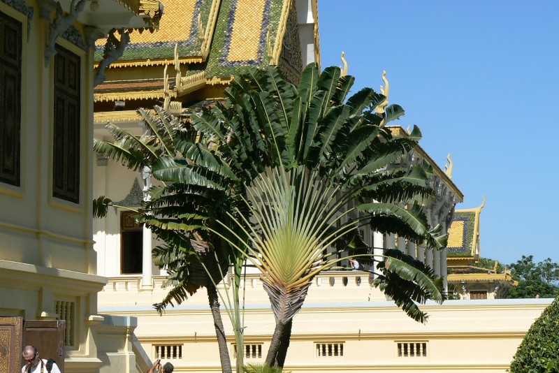 48 Phnom Penh